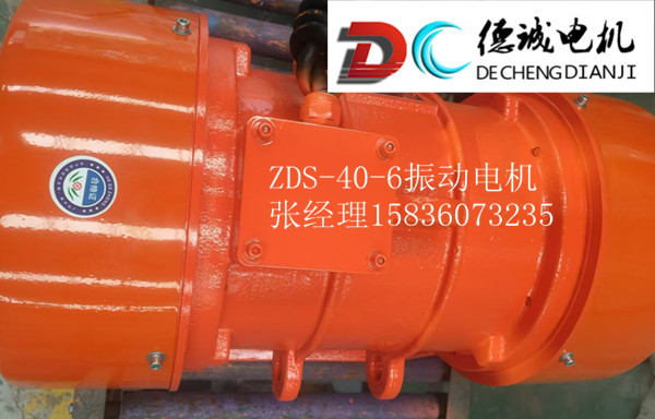 ZDS-40-6振動電機.jpg